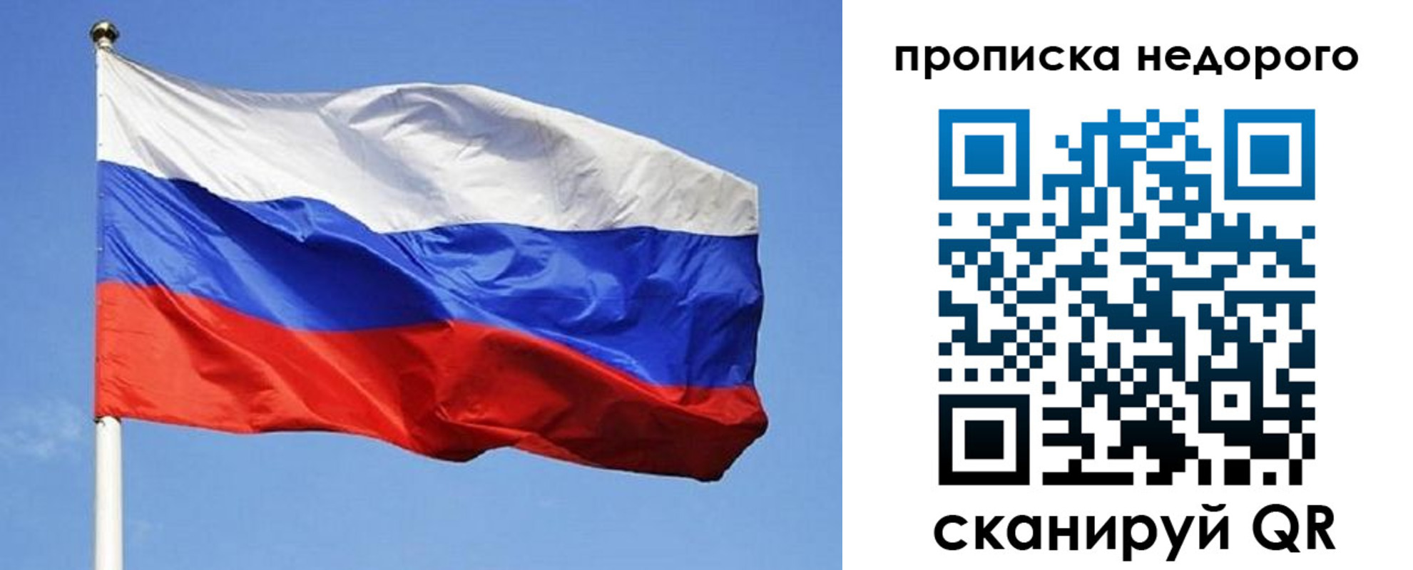 прописка для школы в Тосно