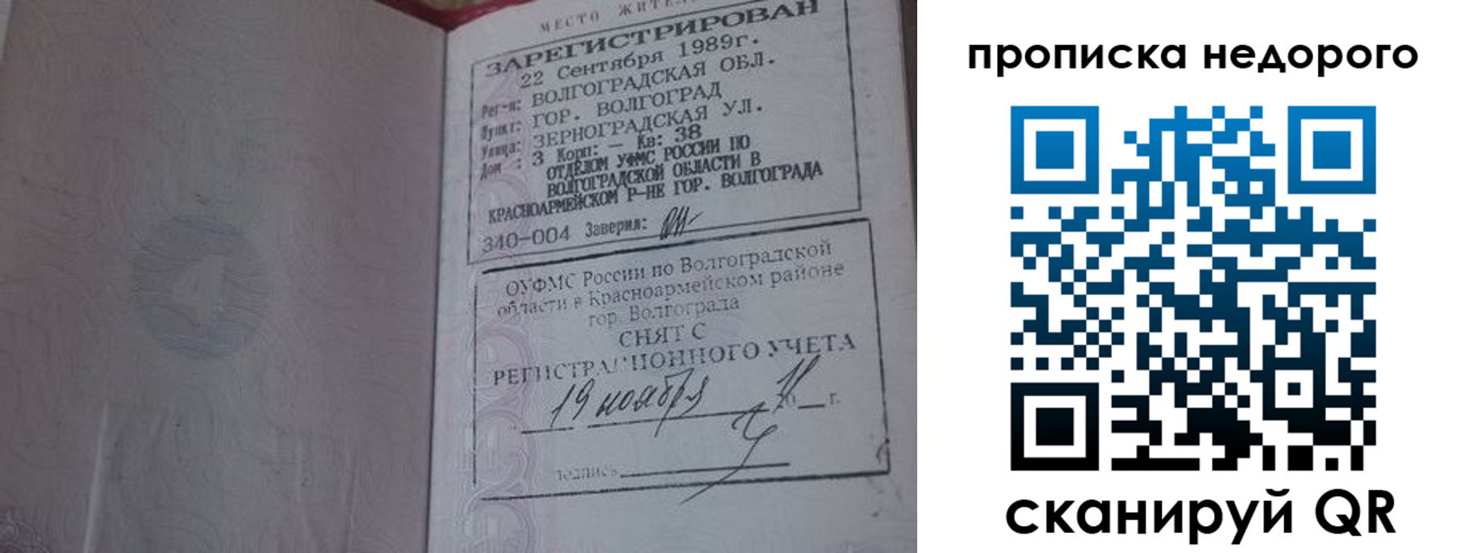 прописка гарантия в Тосно